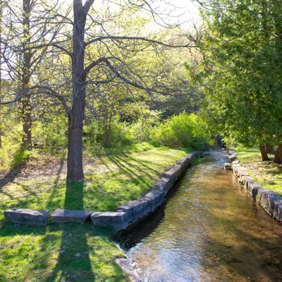 A lush, tree-lined creek in Harrison Park.
