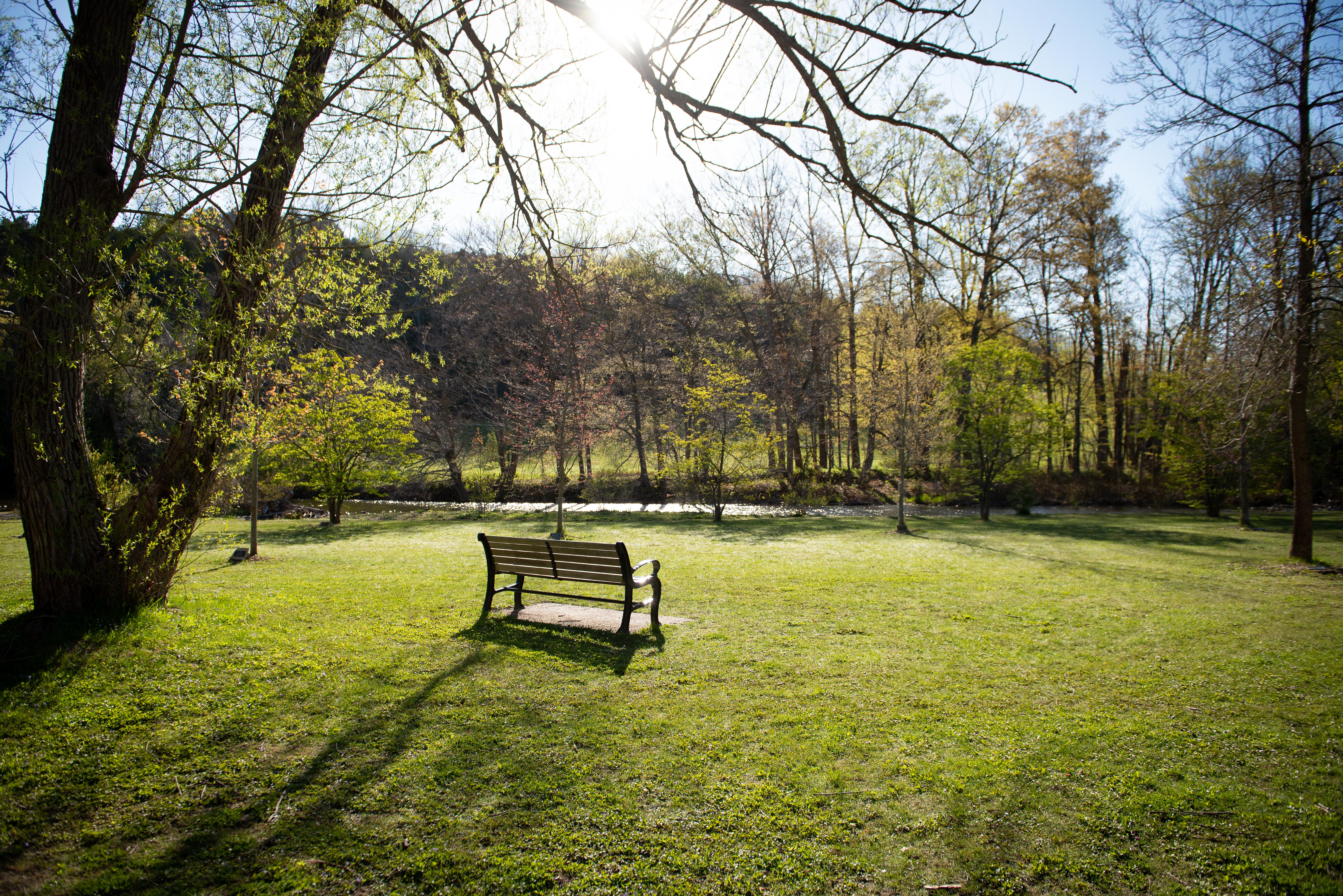 A park bench in the grass at Harrison Park
