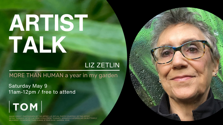 Artist Talk Liz Zetlin