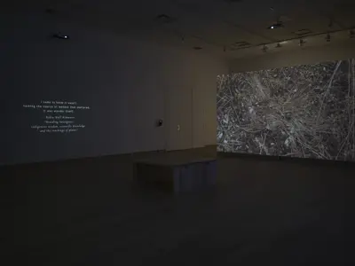 A gallery installation featuring a large projection of forest floor vegetation and pine needles on a freestanding wall. Opposite the projection, a quotation by Robin Wall Kimmerer is projected onto the gallery wall. A wooden bench in the foreground provides seating for visitors engaging with the multi-channel video work.