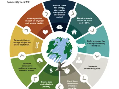 Importance of Trees infographic