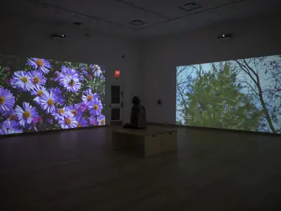 A visitor sits on a wooden bench in a darkened gallery surrounded by large-scale projections of garden plants. One wall displays purple asters in bloom while another shows a white pine tree against the sky. The immersive installation invites viewers to contemplate seasonal changes and the interconnectedness of plant life.